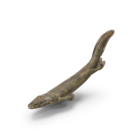Tiktaalik Bony Fish Swimming PNG & PSD Images