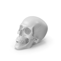 White Skull PNG & PSD Images