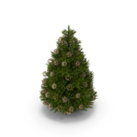 Christmas Tree PNG & PSD Images