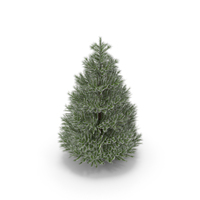 Christmas Tree PNG & PSD Images