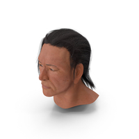 American Indian Head PNG & PSD Images
