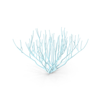 Corals PNG & PSD Images