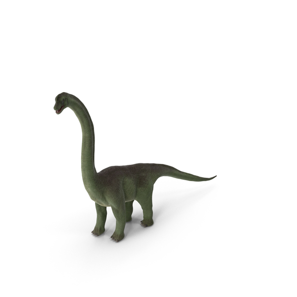 Brachiosaurus Sauropod Dinosaur Green PNG & PSD Images