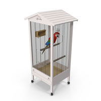 Bird Cage with Parrot PNG & PSD Images