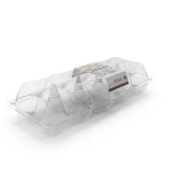 Empty Plastic Tray for 10 Chicken Eggs PNG & PSD Images