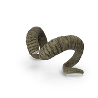 Sawed Off Horns Of A Ram PNG & PSD Images