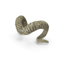 Sawed Off Old Ram Horns PNG & PSD Images