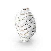 Vase Fos Fossilia PNG & PSD Images