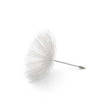 Dandelion PNG & PSD Images