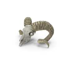 Old Ram Skull With Twisted Horns PNG & PSD Images