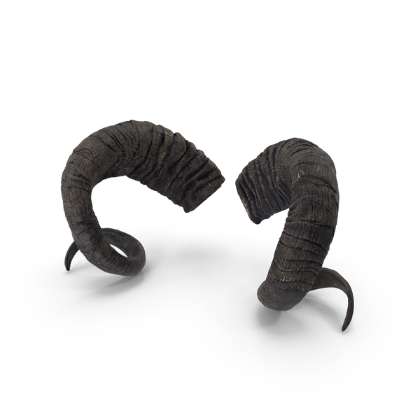 Sawed off Mountain Ram Horns Black PNG & PSD Images