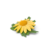 Cartoon Daisy Yellow PNG & PSD Images