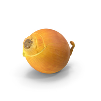 Onion PNG & PSD Images
