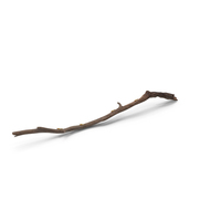 Tree Branch With Termites PNG & PSD Images