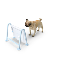Pug Dog With Dogsplay TV PNG & PSD Images