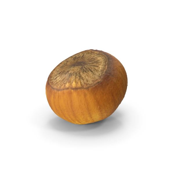 Hazelnut PNG & PSD Images
