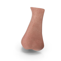 Human Nose Realistic PNG & PSD Images
