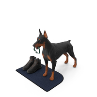 Walking Collar Doberman Pinscher PNG & PSD Images