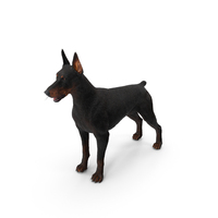 Doberman Pinscher Fur PNG & PSD Images
