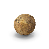 Coconut PNG & PSD Images