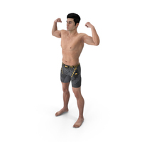 Fighter UFC MMA in Athletic Pose Sweaty Fur PNG & PSD Images