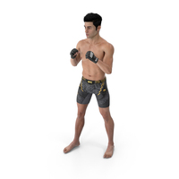 Fighter UFC MMA in Combat Stance Sweaty Fur PNG & PSD Images