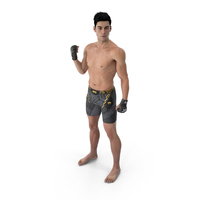 Fighter UFC MMA in Pose Sweaty Fur PNG & PSD Images