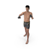 UFC MMA Fighter in Kicking Stance Fur PNG & PSD Images