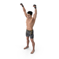 UFC MMA Fighter in Victory Pose Sweaty Fur PNG & PSD Images