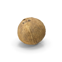 Coconut PNG & PSD Images