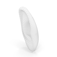 Human Right Ear Wireframe PNG & PSD Images