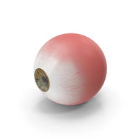 Realistic Human Eye PNG & PSD Images