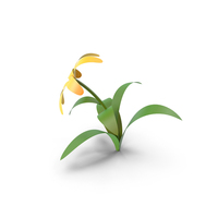 Cartoon Flower PNG & PSD Images