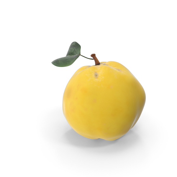 Quince PNG & PSD Images
