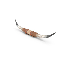 Bull Horns With Leather Mount PNG & PSD Images