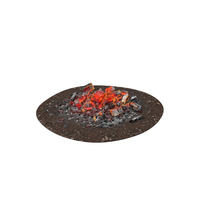Glowing Charcoal Embers PNG & PSD Images