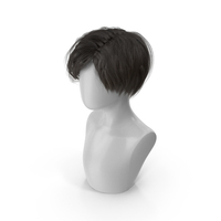 Classical Short Haircut Wig Dark PNG & PSD Images