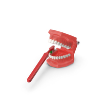Dental Model With Toothbrush PNG & PSD Images