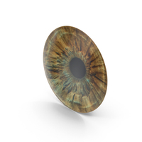 Human Eye Crystal PNG & PSD Images
