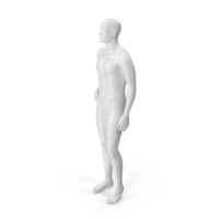 Male Mannequin PNG & PSD Images