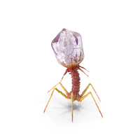 Bacteriophage PNG & PSD Images