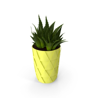 Plant Cactus In Yellow Pot PNG & PSD Images