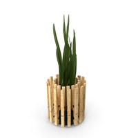 Plant In Pot From Clothespins PNG & PSD Images