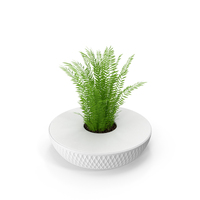 Plant Planted In The Bench PNG & PSD Images