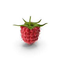 Red Ripe Raspberry With Fur PNG & PSD Images
