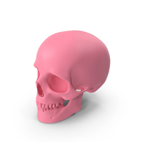Pink Skull Head PNG & PSD Images