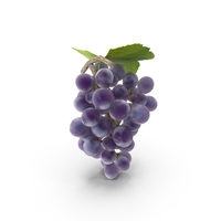 Photorealistic Black Grape PNG & PSD Images