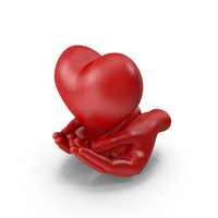 Heart In Hands PNG & PSD Images
