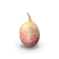 Radish PNG & PSD Images