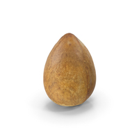 Avocado Seed PNG & PSD Images